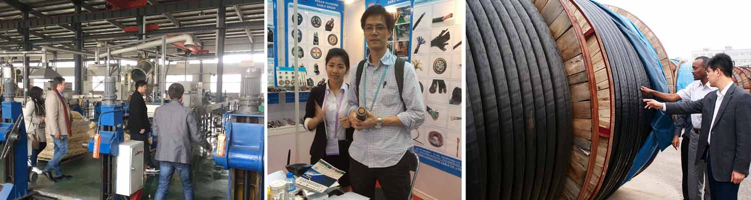 huadong 16mm2 3 core swa factory